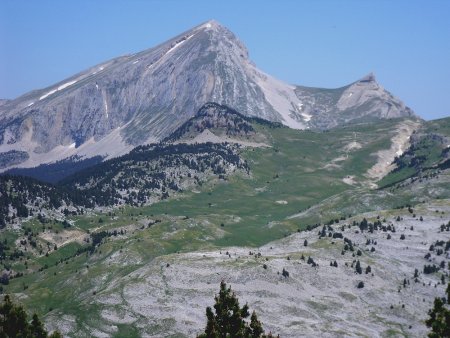 Zoom, sur la Plaine de la Queyrie, j’aperçois le Pin Taillé