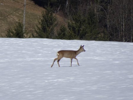 Rencontre