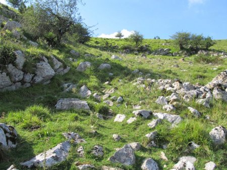 Le terrain est mixte, les rochers pas loin.