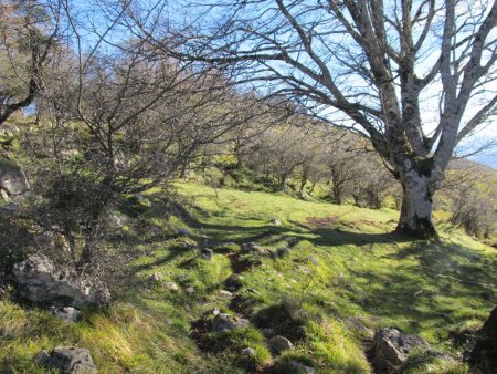 On monte en direction du sommet.