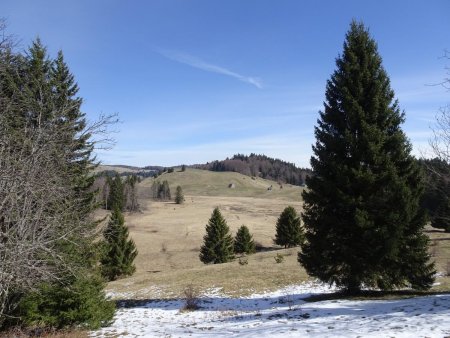 Au belvédère de la tourbière