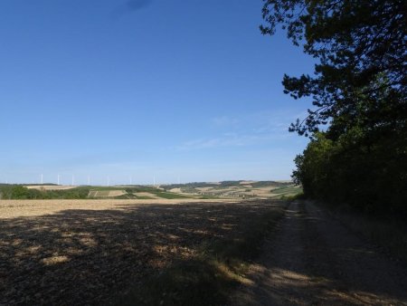 Bois de l’Étang