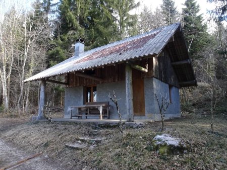 Dans le Bois de Serrières