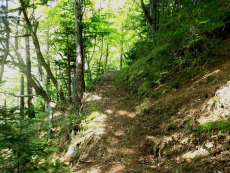 Sentier confidentiel de Serre Rond. Photo d’époque.