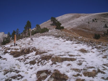 La Tête des Ormans du Col de Plate Contier