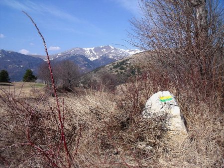 De la piste, vue sur le Jocou