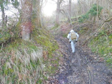 On quitte la petite route pour un ancien chemin (ancien balisage du GRT5) )