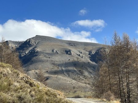 Très désertique !