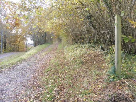 Que l’on va laisser pour une nouvelle piste forestière.