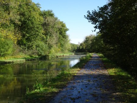 Canal de Berry