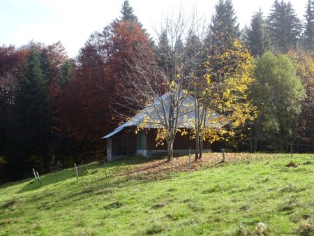 Belvédère de la tourbière