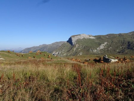 En montant dans le vallon d’Arpire