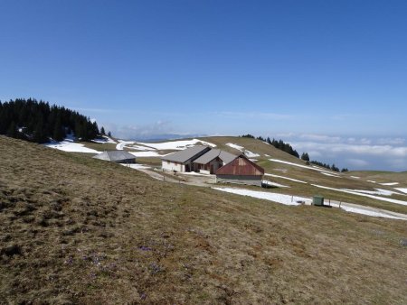 Chalets du Crêt de l’Aigle