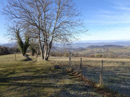 Chemin du Crêt