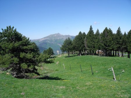 Bergerie au-dessus du Roc de Rimat, regard sur Toussière