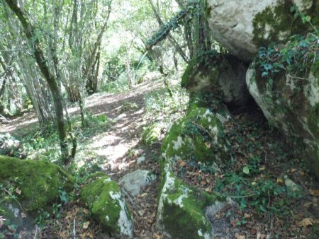 Puis on sort de la zone des gros blocs et on entre en zone boisée.