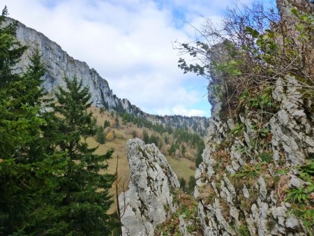 Le Charmant Som vu du Collet