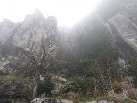 Sous la falaise en rive droite de l’Ardèche