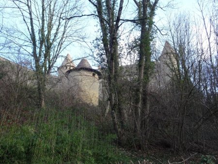 Château de Virieu