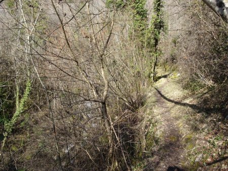 Le long du ruisseau de la Crousaz