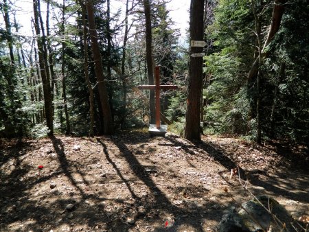 Retour à la Croix du Suc du Barry.