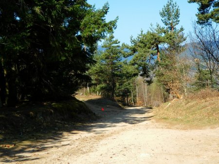 Le chemin de départ.