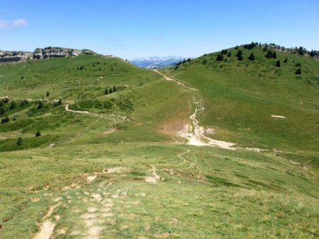 Col de la Sure en descendant.