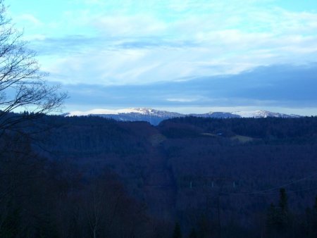 Le Grand Colombier