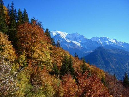 Couleurs d’automne et Mont Blanc