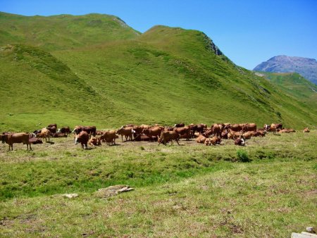 Au-dessus des chalets du Cormet