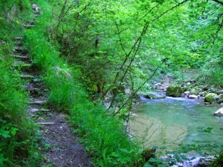 Gorges de la Leysse