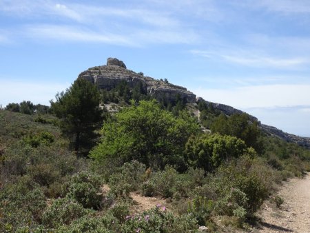 Pounche des Escaouprés