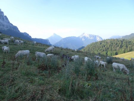 Col de la Ruchère