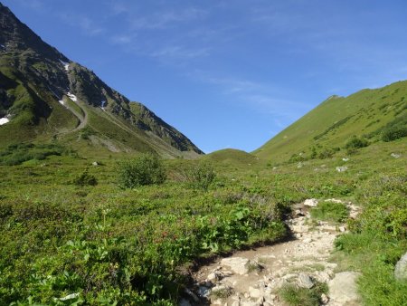 Col de Tricot