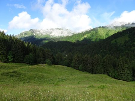 Col du Haut du Four