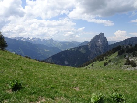 Col du Serpentin