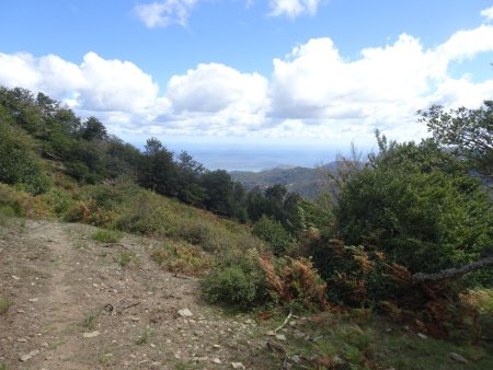 Col des Trois Hêtres