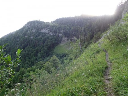 Sentier menant au Plan de France