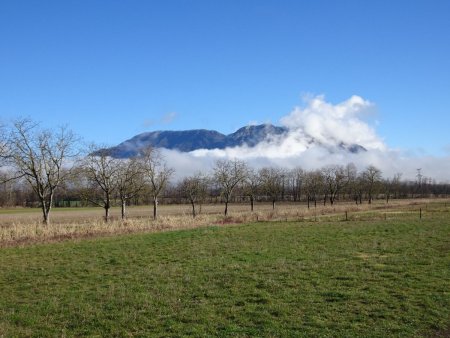 Au loin, les Bauges