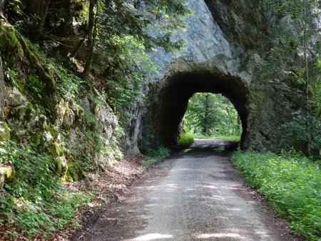 Au-dessus du Couvent de la Grande Chartreuse