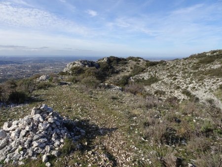 Crane de Colombier