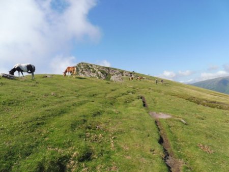 On continue sur le sentier, évitant la hauteur du Larrateko Hegia)