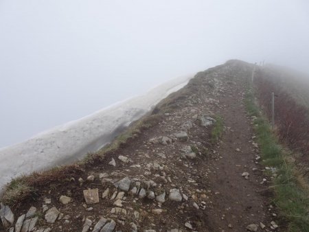 Vers la croix du Môle