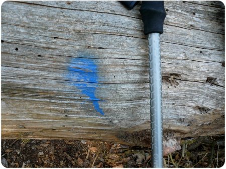 Sur le sentier aux ronds bleus vers la Cuche.  