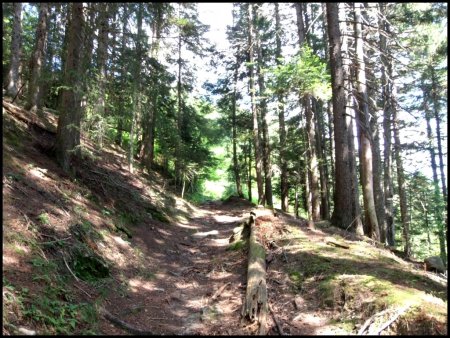 GR. Tour des Quatre Montagnes.