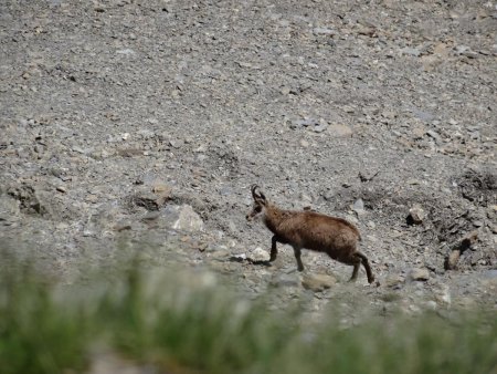 Une visite !