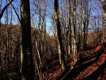 Montée vers le col du Pertuis.