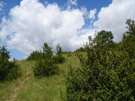 Sur le sentier vers le point coté 910m