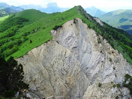 Ravin du torrent des Ruines : rive gauche