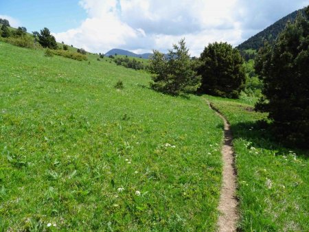 Traversée pénarde, maintenant